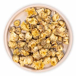 Chrysanthemum